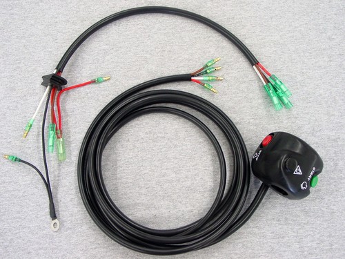 Yamaha Start Stop Switch Restoration service