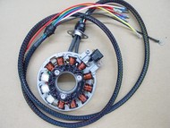 Polaris Stator Service - For ANY Polaris Stator