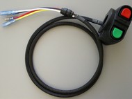 Kawasaki Start Stop Switch Service