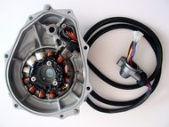 Kawasaki 900/1100 Stator Services